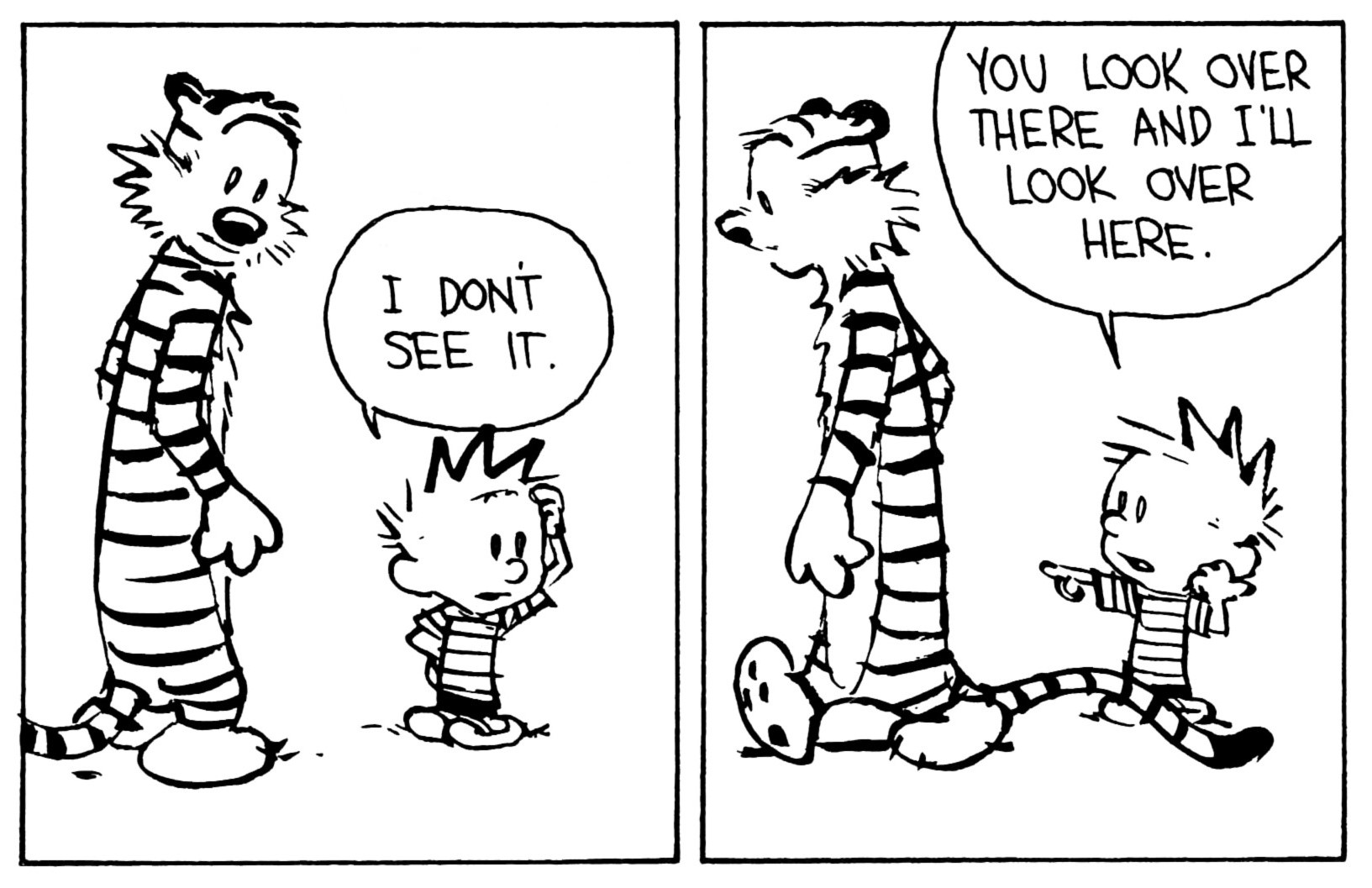 Calvin & Hobbes